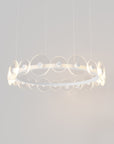 CORAL RING 20 PIECE - PENDANT LIGHT